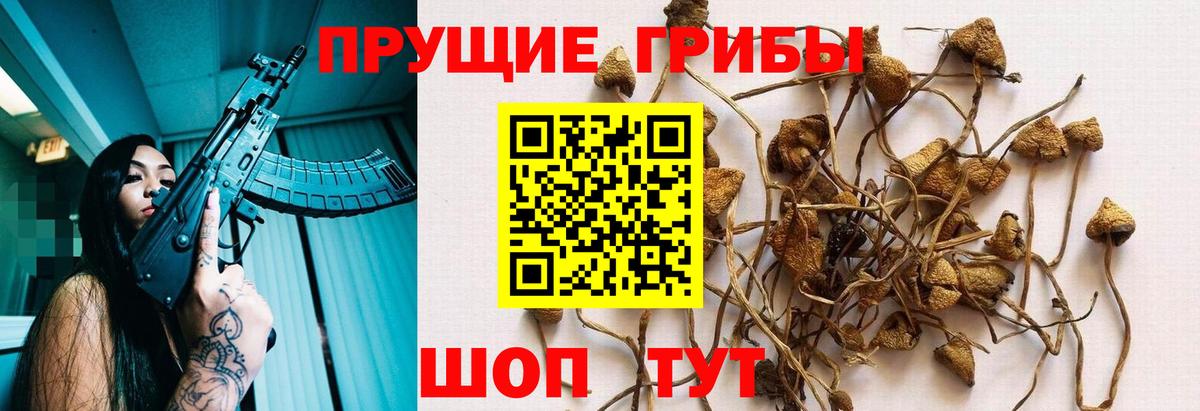 Псилоцибиновые грибы MAGIC MUSHROOMS  Вход с VPN  Галлюциногенные грибы Cubensis  Тихвин 